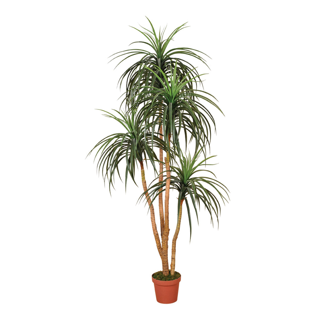 Planta Artificial Nolina: Decoración Natural Sin Mantenimiento 1.85 M / Multicolor_0