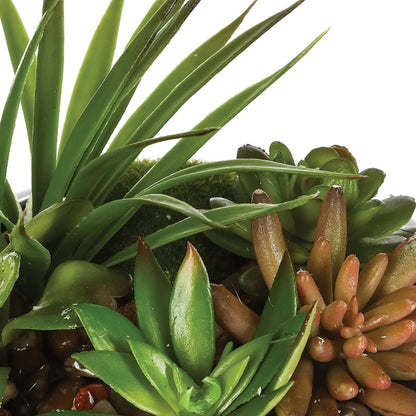 Composición De Centro: Surtido De Plantas Con Florero De Cerámica D20xh6_2