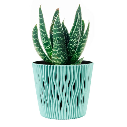 Maceta Redonda De Plastico Sandy Round En Color Salvia 15,8 (largo) X 15,8 (ancho) X 13,8 (alto) Cm_5