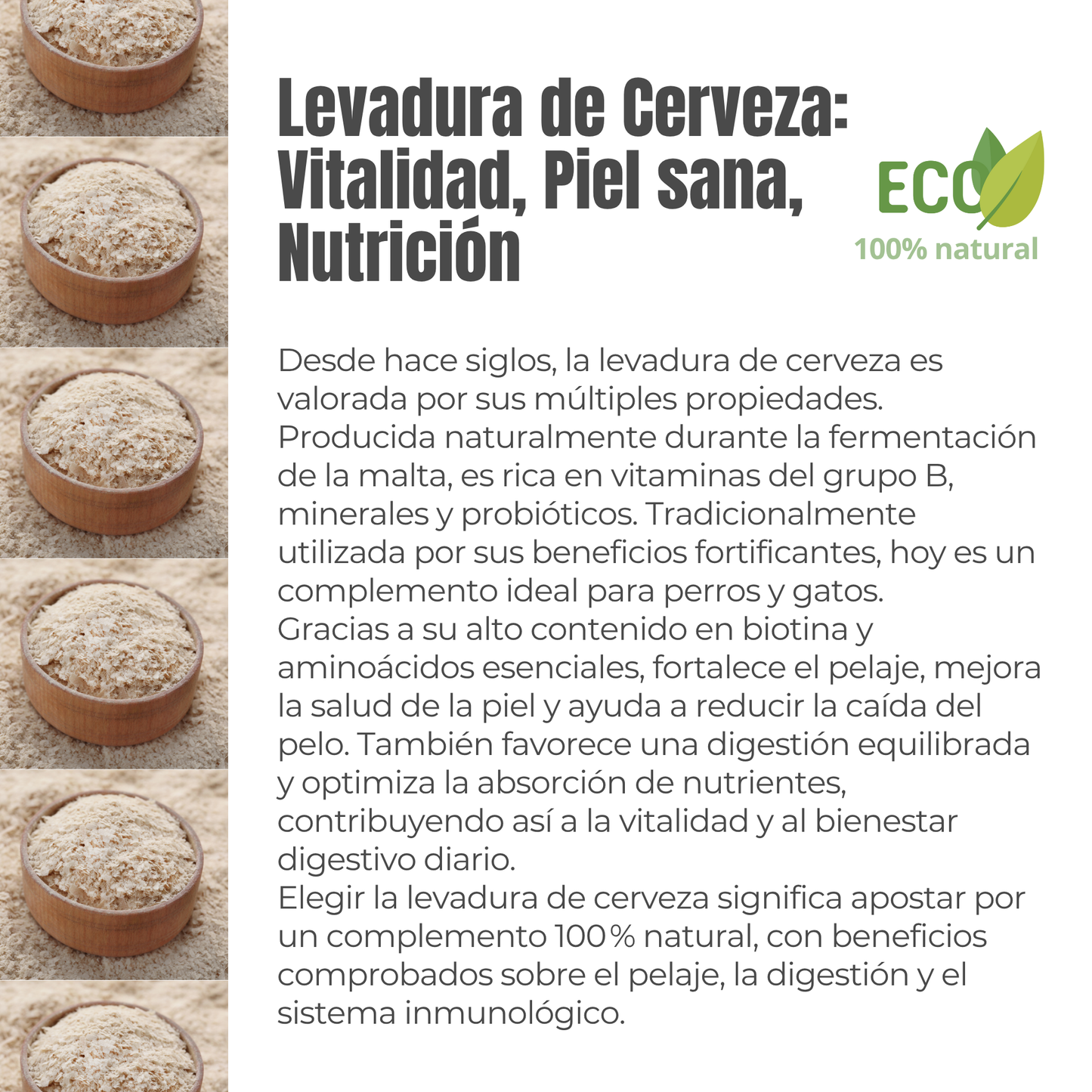 Suplemento natural para la piel y el pelaje de perros y gatos – Levadura de cerveza ECO 100 g_2