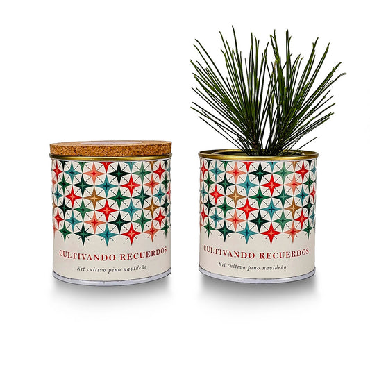 Kit cultivo pino navideño Paisaje Estrellado, Garden Pocket