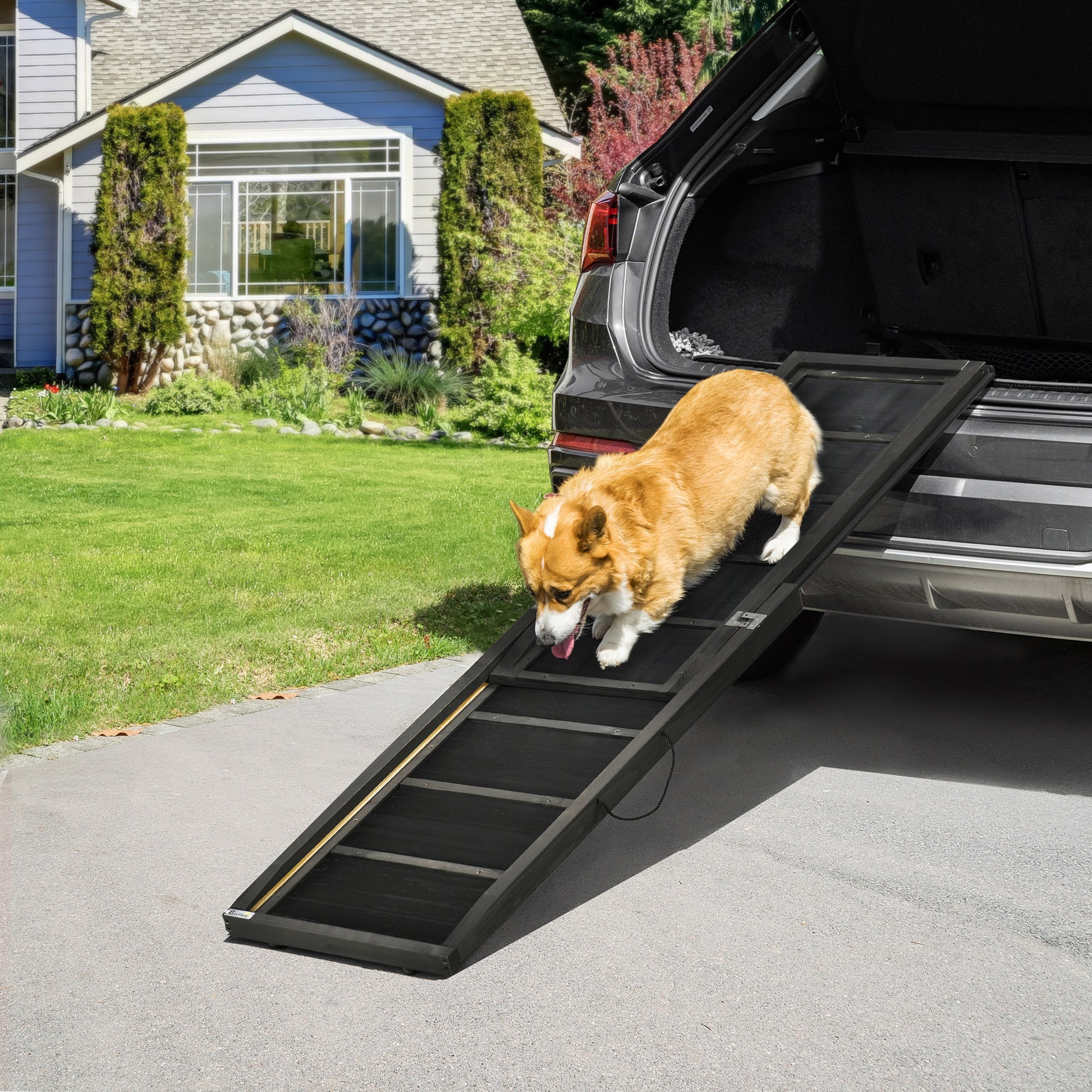 Pawhut Rampa Para Perros De Madera 165x43x6,5 Cm Con Alfombra Antideslizante_1