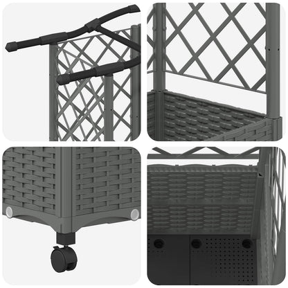 Cama Elevada Con Trellis Y Techo Gris Claro 122 X 40 X 144 Cm_5