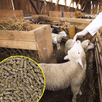 Pienso ECOLÓGICO para Ovejas Reposición 20kg – Alimentación Natural y Equilibrada_4