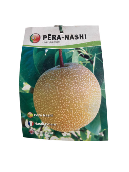Frutal Peral Nashi Cepellón 140 CM_1