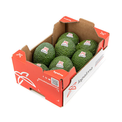 Aguacate Hass 2kg, Origen España, Andalucía (costa Tropical)_3