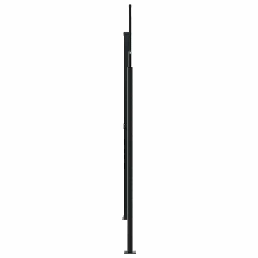 Vidaxl Toldo Lateral Retráctil Antracita 220x1200 Cm_3
