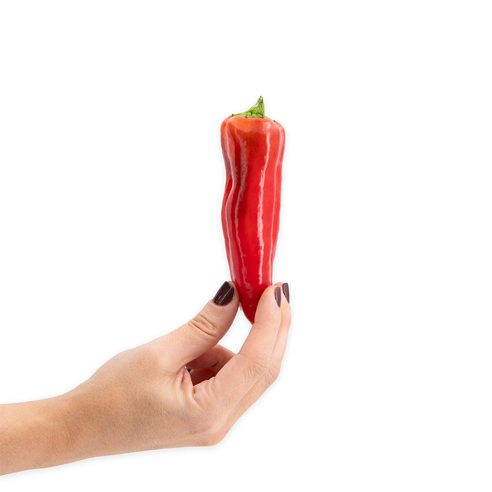 Pimiento Minikapya Weko_3