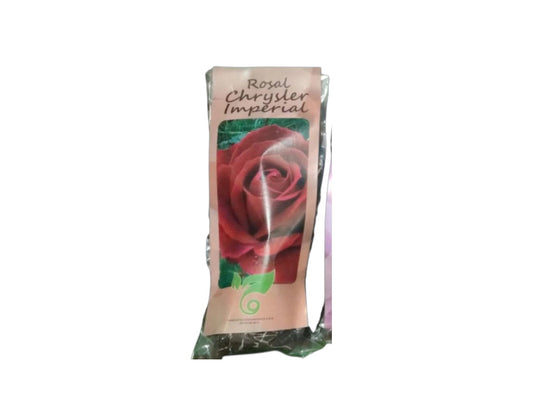 Arbusto Rosal Rojo Cepellón 60 CM_0