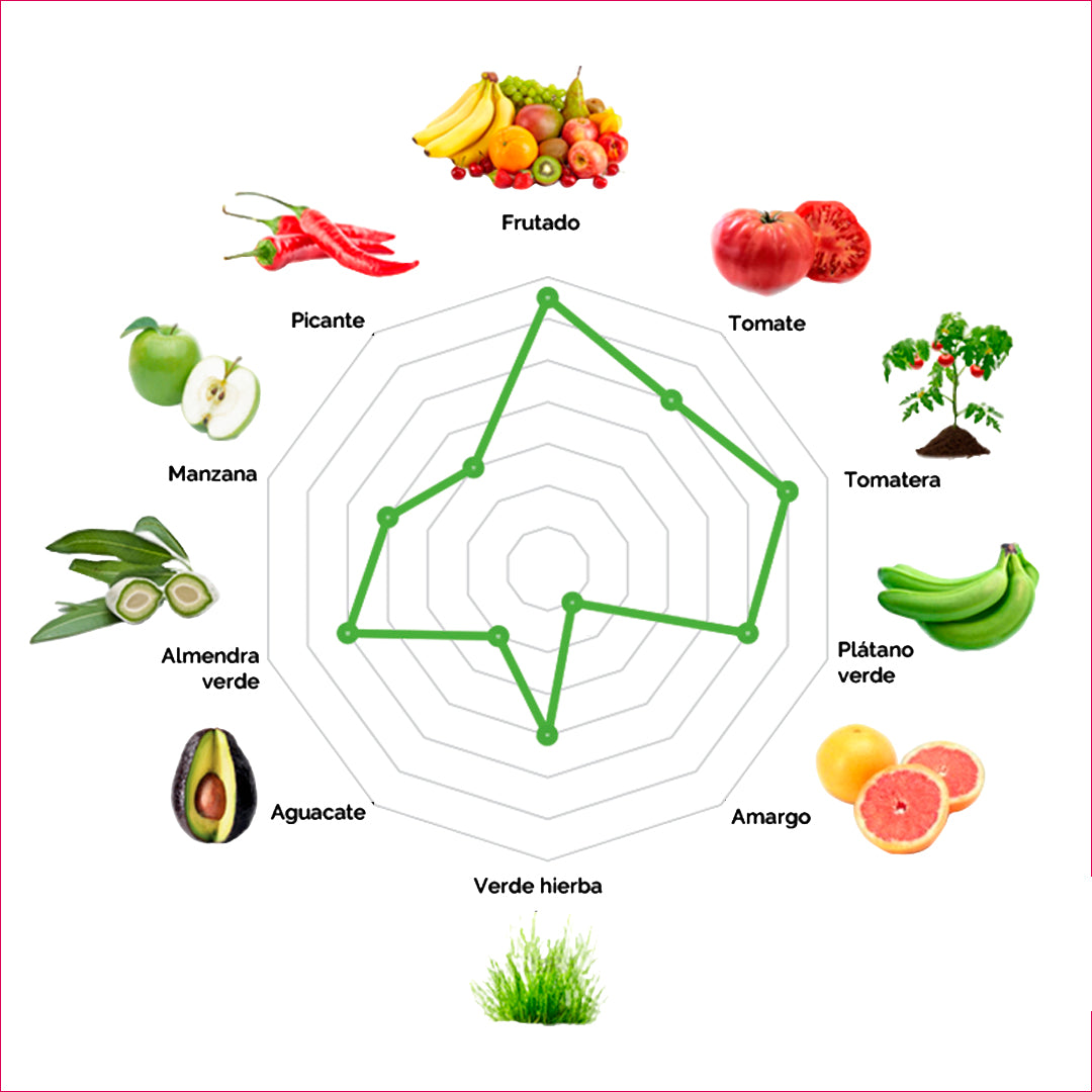 iOliva | Aceite De Oliva Virgen Extra |  Variedad Hojiblanca | Selección Especial Finca Familiar |  Botella 500 mL_2