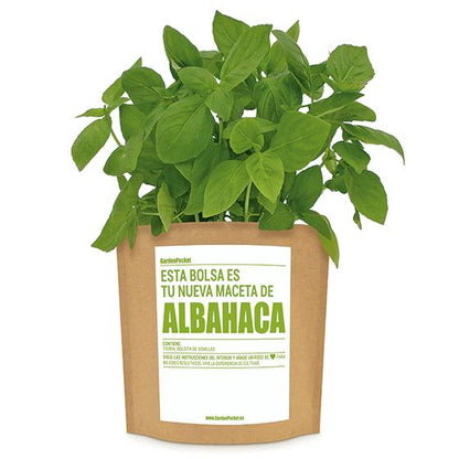 Kit huerto de aromáticas pocket: Albahaca