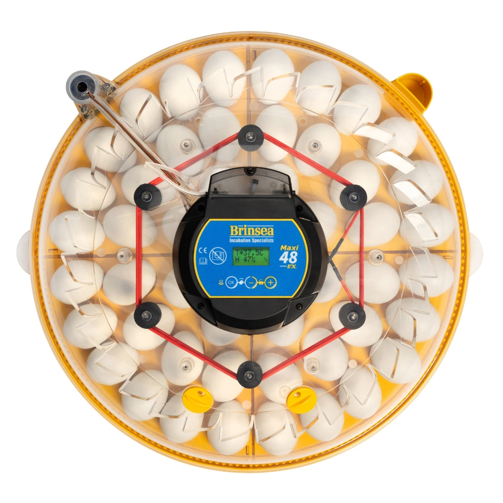 Incubadora Brinsea Maxi 48 Ex - Incubadora Para 48 Huevos De Gallina - Apta Para Diferentes Especies O Tamaños De Huevos_2