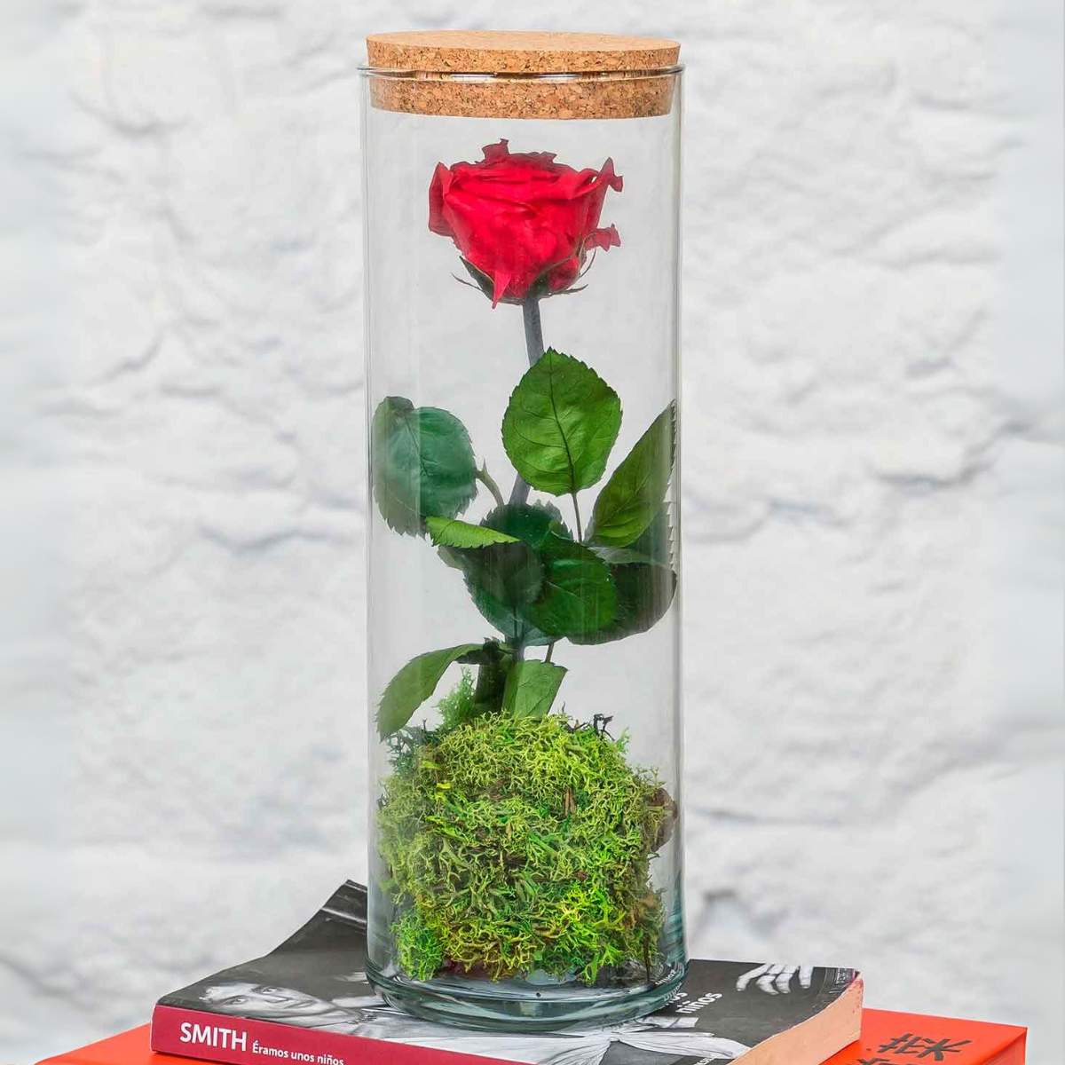 Rosa Eterna Cupula Cristal (30x10 Cm).