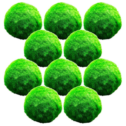 Bolas De Musgo Marimo - 10 Unidades - Cladophora Aegagropila - 5 Cm_0