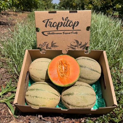 Caja De Melón Cantalupo Tropitop Caja De 2 Unidades (aprox. 3 Kg)_1