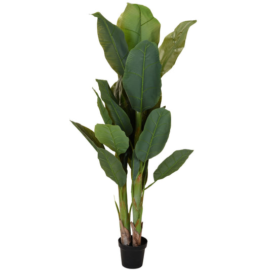 Maceta Con Planta De 165 Cm.