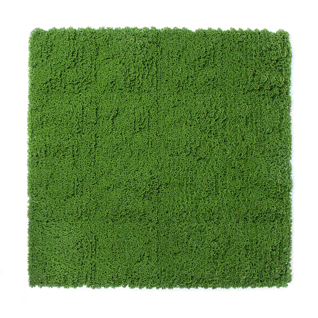 Rollo Jardín Vertical Moss - Decoración Natural Para Tu Hogar 1x1 M / Multicolor_0