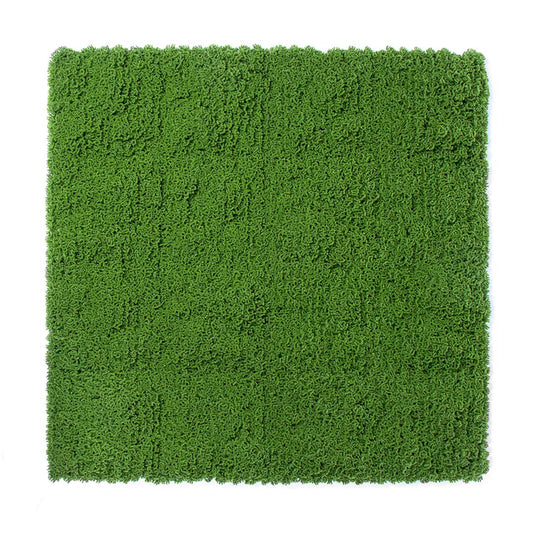 Rollo Jardín Vertical Moss - Decoración Natural Para Tu Hogar 1x1 M / Multicolor_0