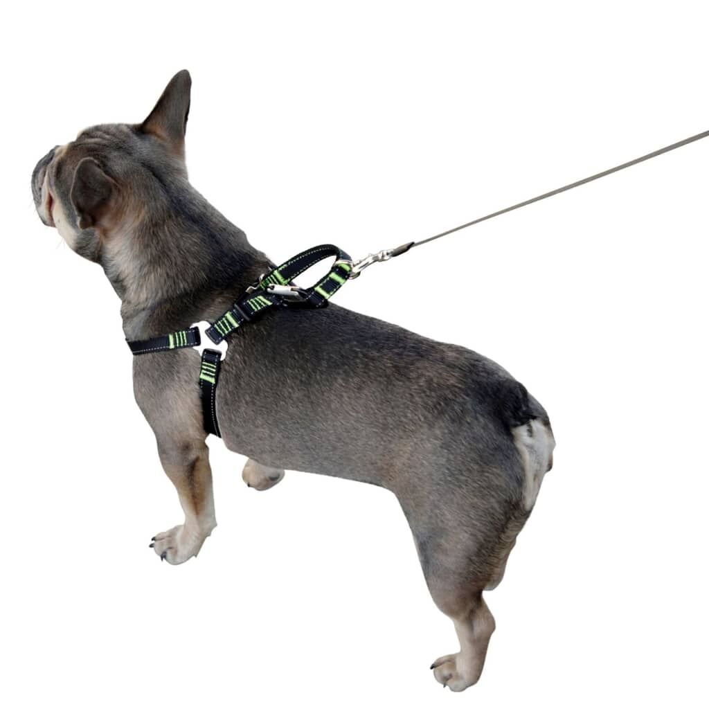 Kerbl Arnés De Seguridad De Coche Para Mascotas Negro 50-65 Cm_2