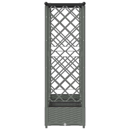 Cama Elevada Con Trellis Y Techo Gris Claro 203 X 40 X 121 Cm_4