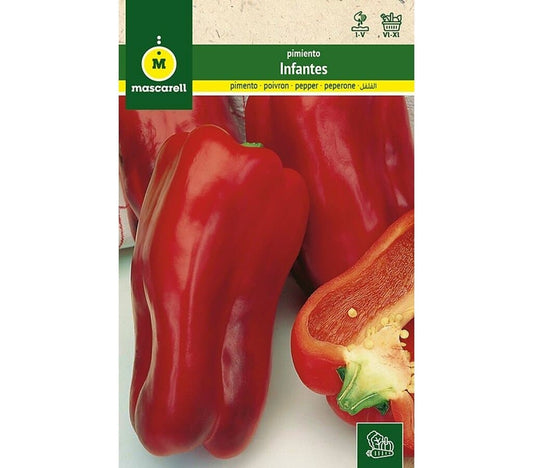 Semillas Pimiento Manchego (infantes)_0