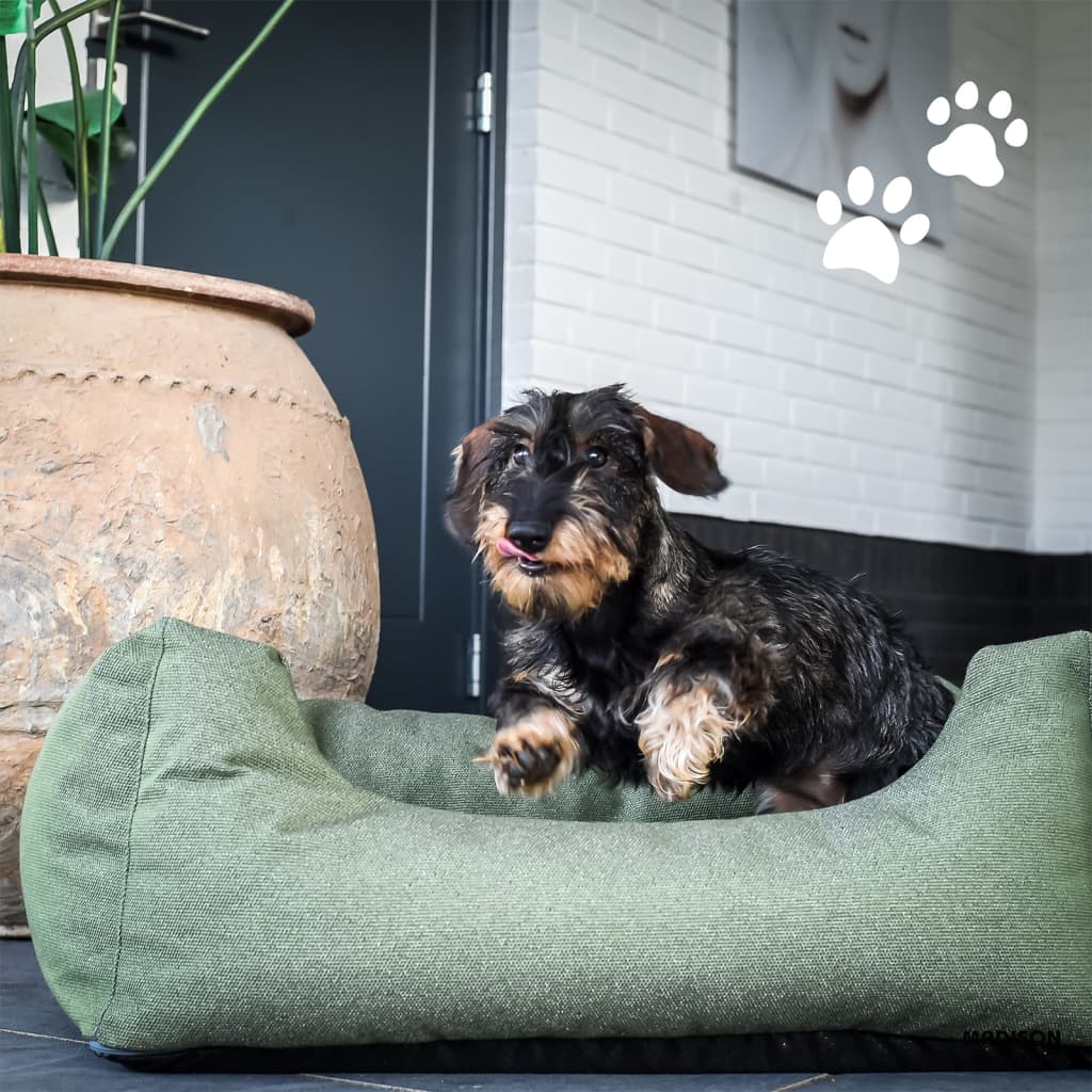 Madison Cama De Exterior Para Perros Manchester Gris Taupe 80x67x22 Cm / Vetonek_1