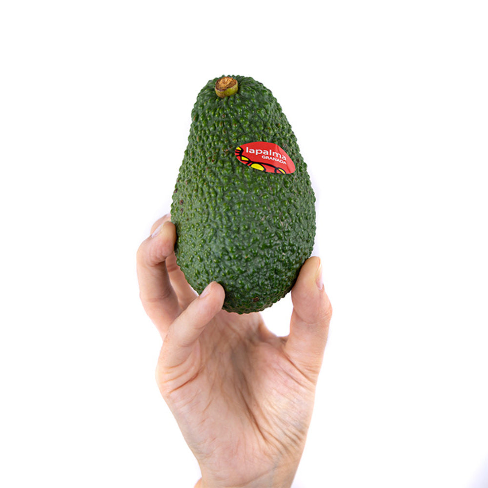 Aguacate Hass 2kg, Origen España, Andalucía (costa Tropical)_2