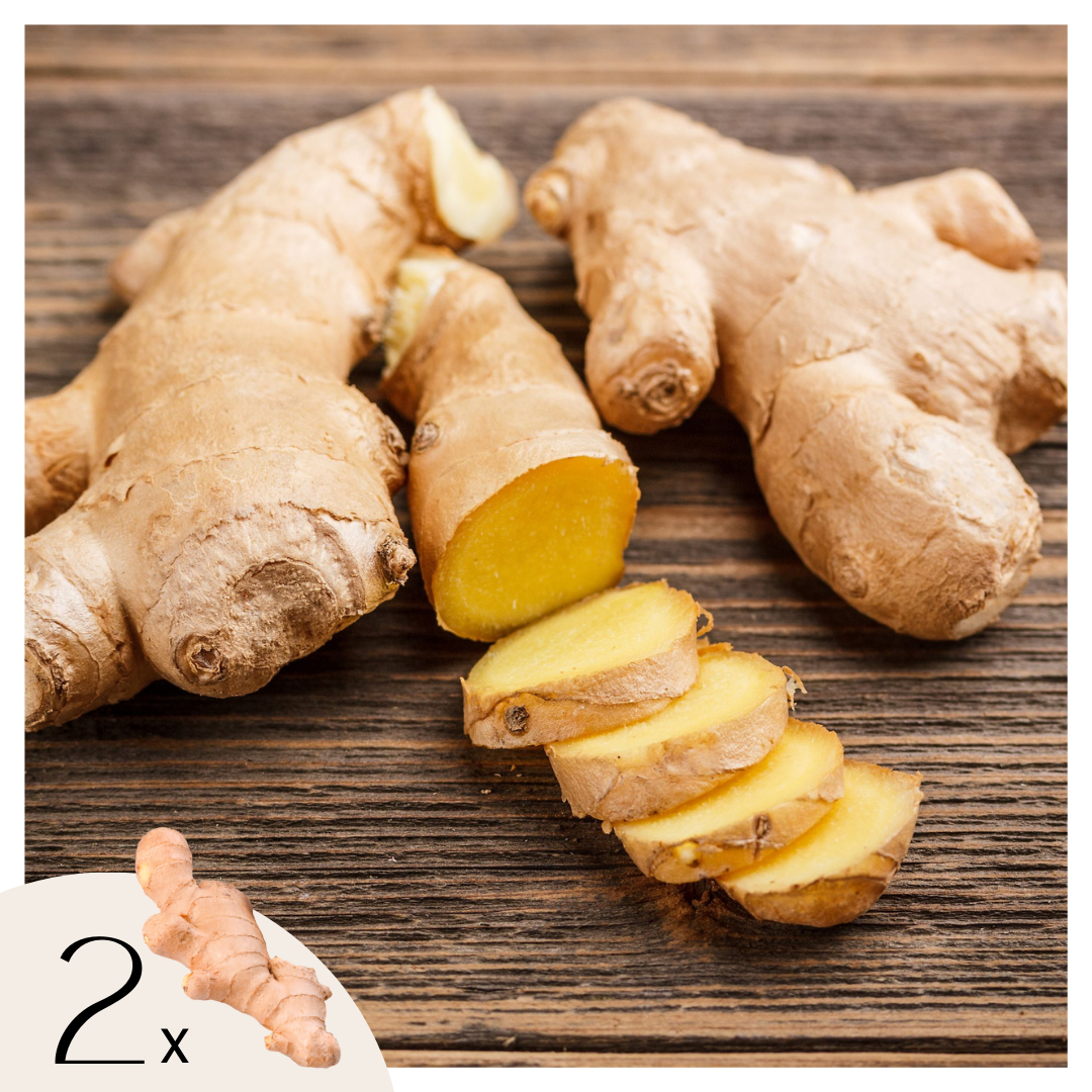 Jengibre - Juego De 2 - Zingiber Officinale - Rizomas_0