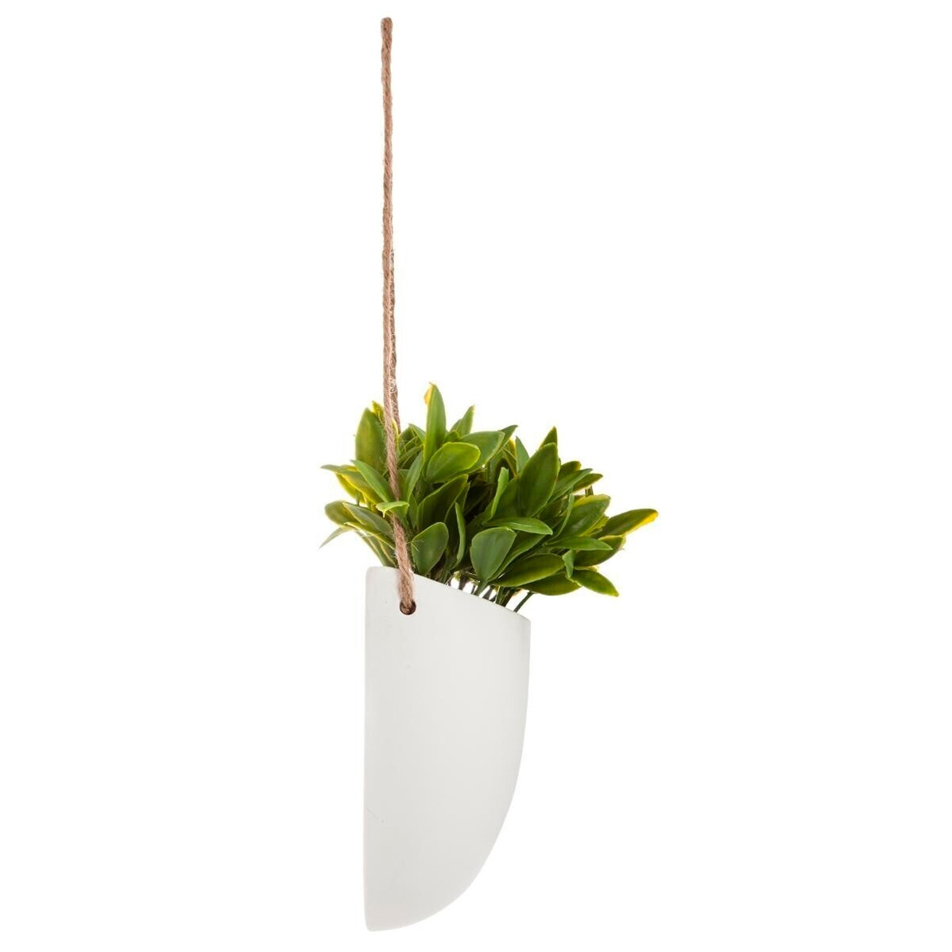 Planta De Pared Colgante H20_4