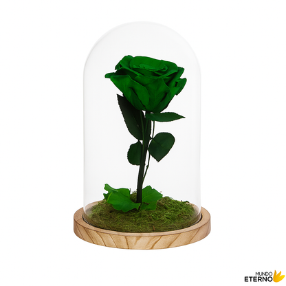 Mundo Eterno Rosa En Cúpula Verde 12x20cm_0