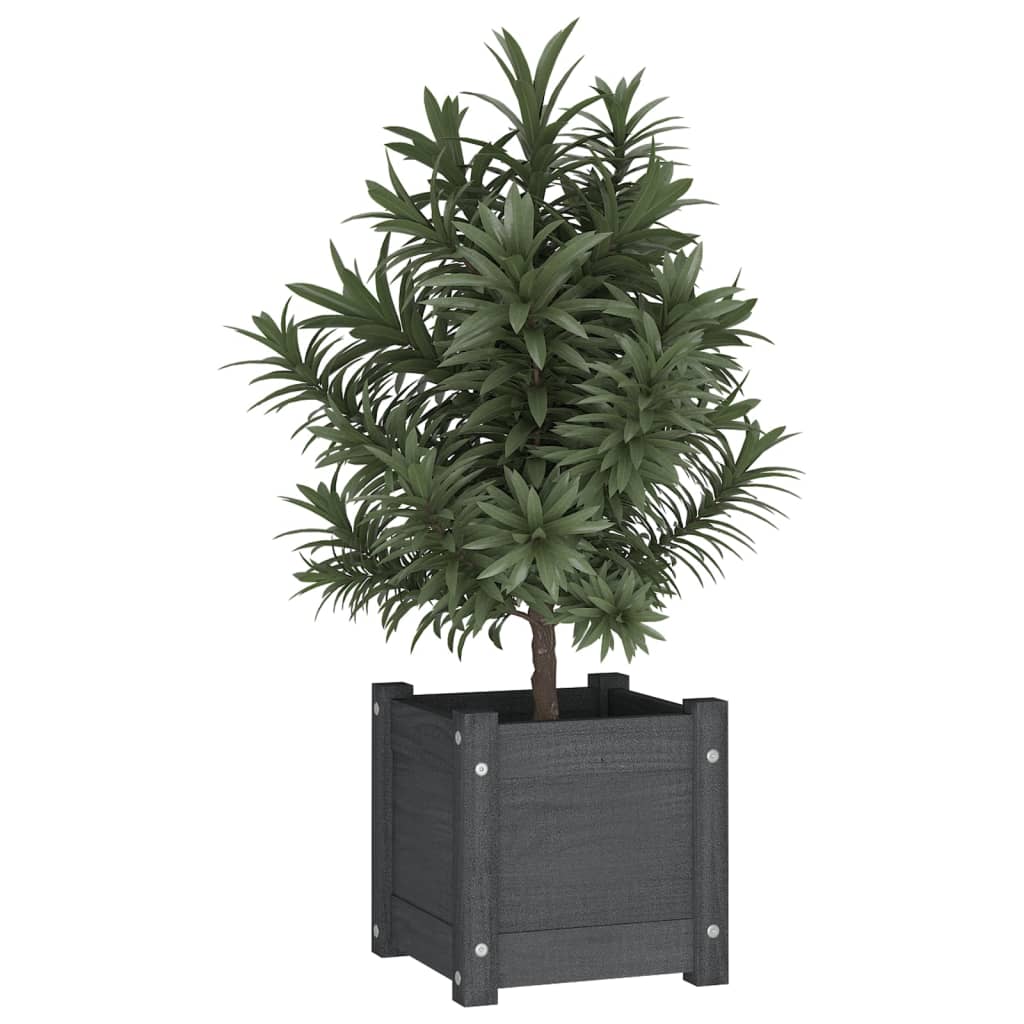Jardineras 2 Uds Madera Maciza De Pino Gris 31x31x31 Cm_2