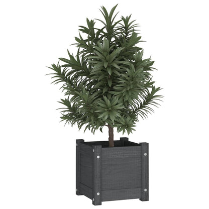 Jardineras 2 Uds Madera Maciza De Pino Gris 31x31x31 Cm_2