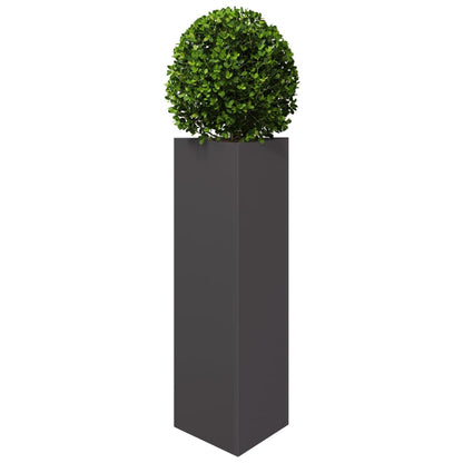 Jardineras Triangulares 2 Uds Acero Negro 30x26x75 Cm_3