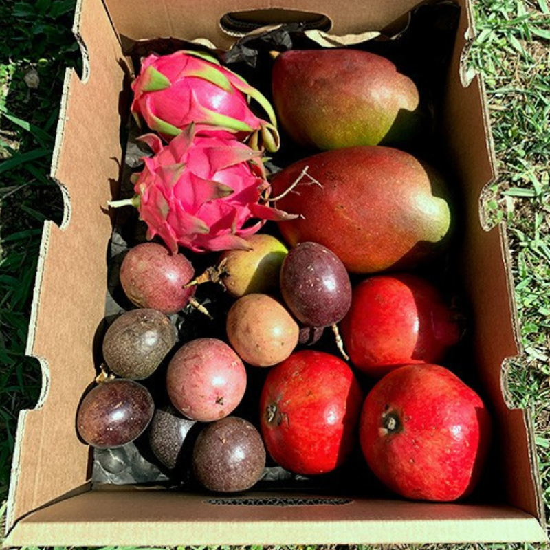 Pack Fruta Tropical Variada 4 Kg_1
