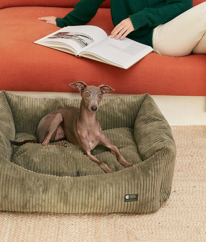 Cafide Cama De Material Reciclado Para Perro Con Tejido De Pana Verde. Modelo Snozy._3