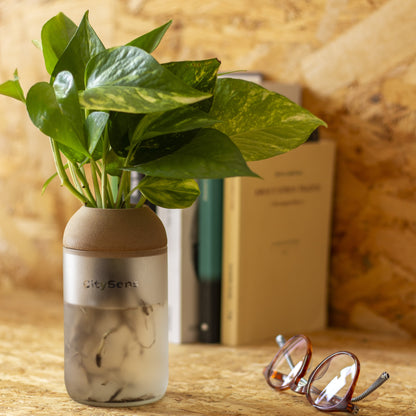 Macetero Transparente Citysens Con Planta Y Soporte De Pino – Blanco Matizado, Vidrio Reutilizado Y Biofilamento 3d