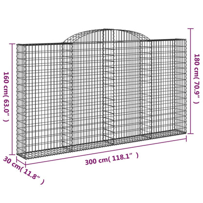Cestas De Gaviones 4 Uds Forma De Arco Hierro 300x30x160/180 Cm_5