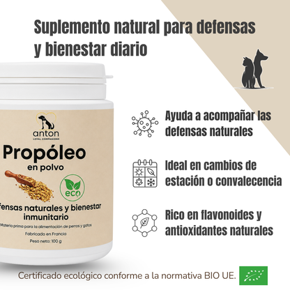 Suplemento natural para las defensas de perros y gatos – Propóleo ECO 100 g_1