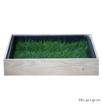 Petground, Cama Para Perros, Caja De Madera, Accesorio, Mueble, Xxl_1