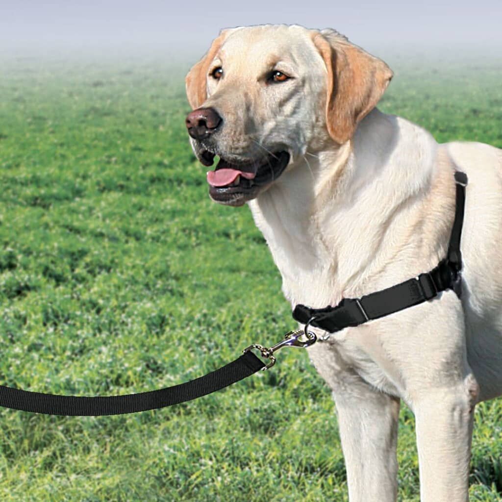 Petsafe Arnés Para Perros Easy Walk Negro L_2