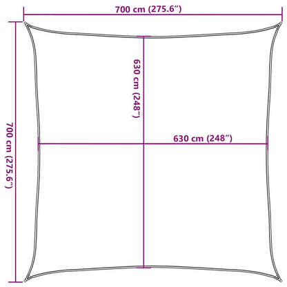 Vidaxl Toldo De Vela Cuadrado Hdpe Azul 160 G/m² 7x7 M_2