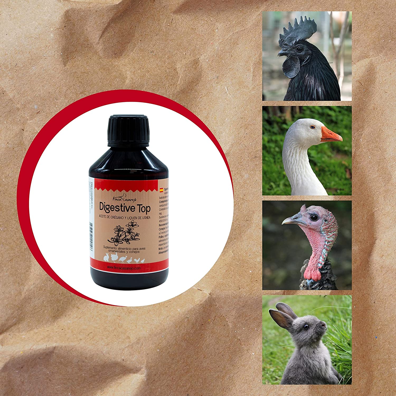 Suplemento Alimenticio Para Una Buena Salud Digestiva En Animales | Digestive Top 250 Ml Para Conejos Y Aves De Corral_3