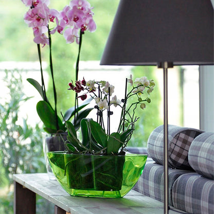 Maceta Coubi Orchid 1l., Dimensiones (mm) 198x130x102, Color Transparente_5