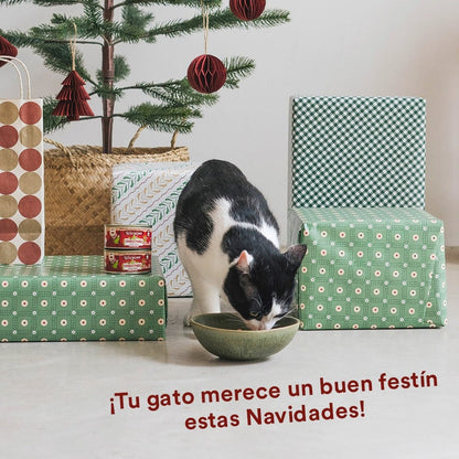 Lata Receta de Navidad BARF para gatos Wild Balance 120 g