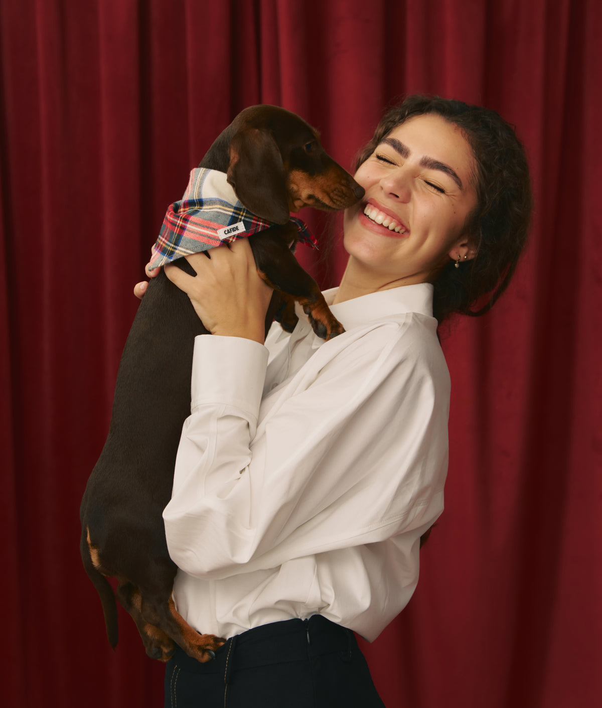 Cafide Bandana Para Perro Tartán Dress Steward. Modelo Nata. Talla S (20-30 Cm)_1