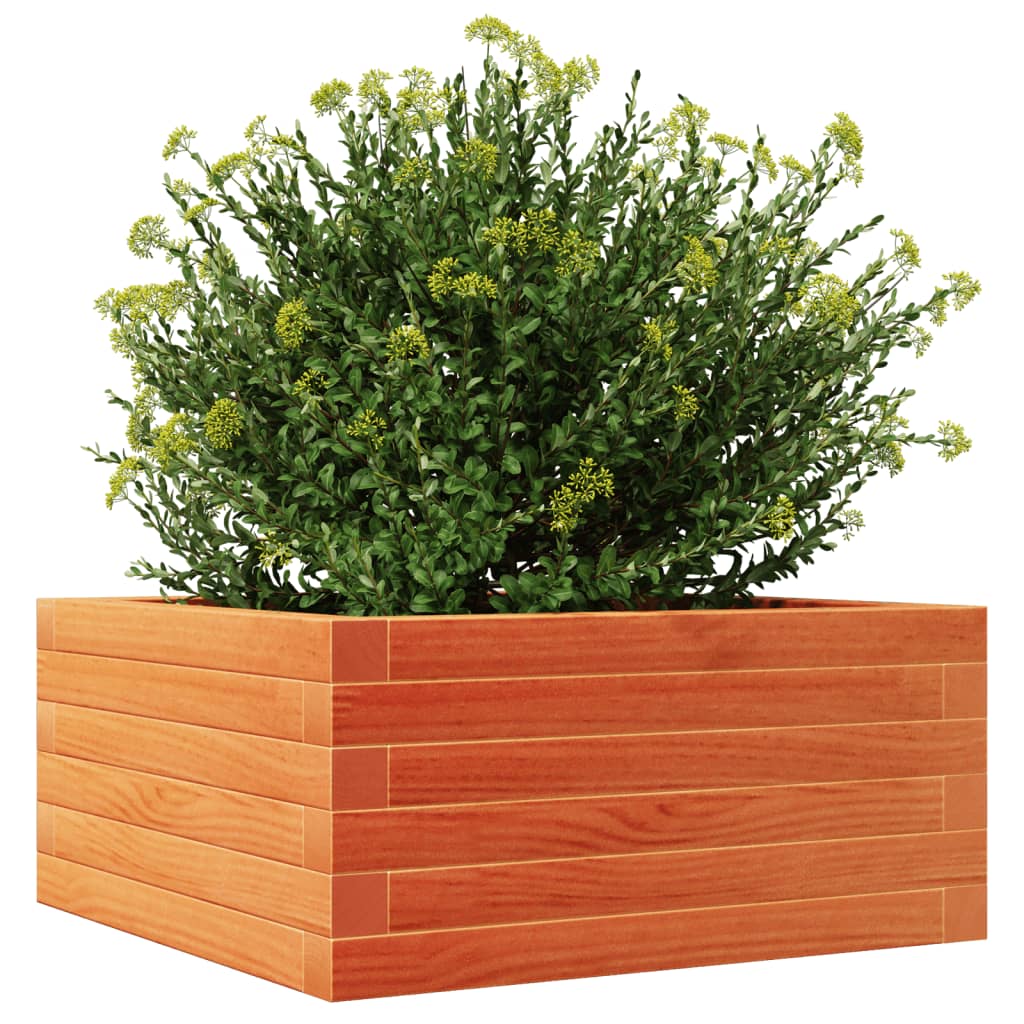 Jardinera De Madera Maciza De Pino Marrón Cera 50x50x23 Cm_3