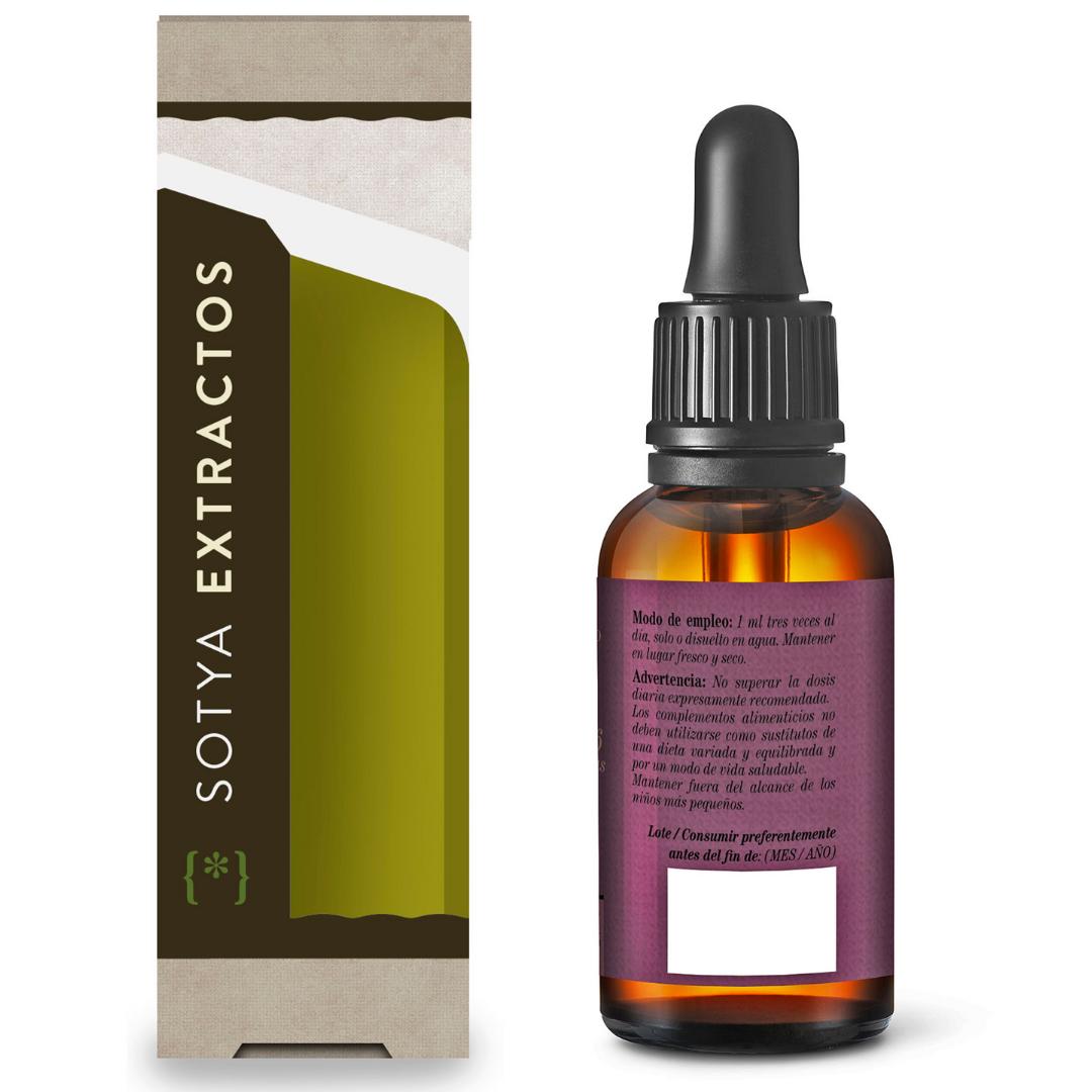 Equinacea 50 Ml Sotya