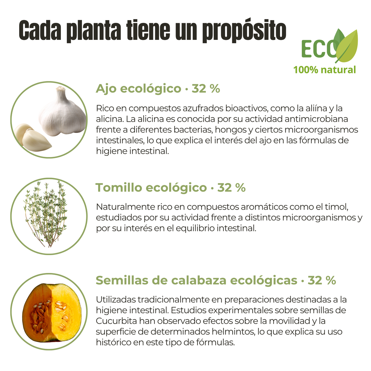 Protección intestinal ECO para perros y gatos – Lombrices y parásitos internos – 100 g_3
