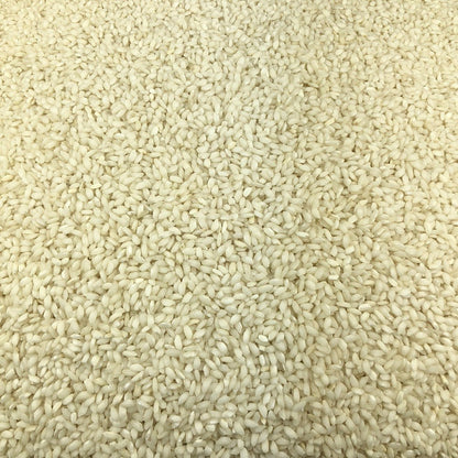 Arroz Risotto Especial Ecológico Granel_2