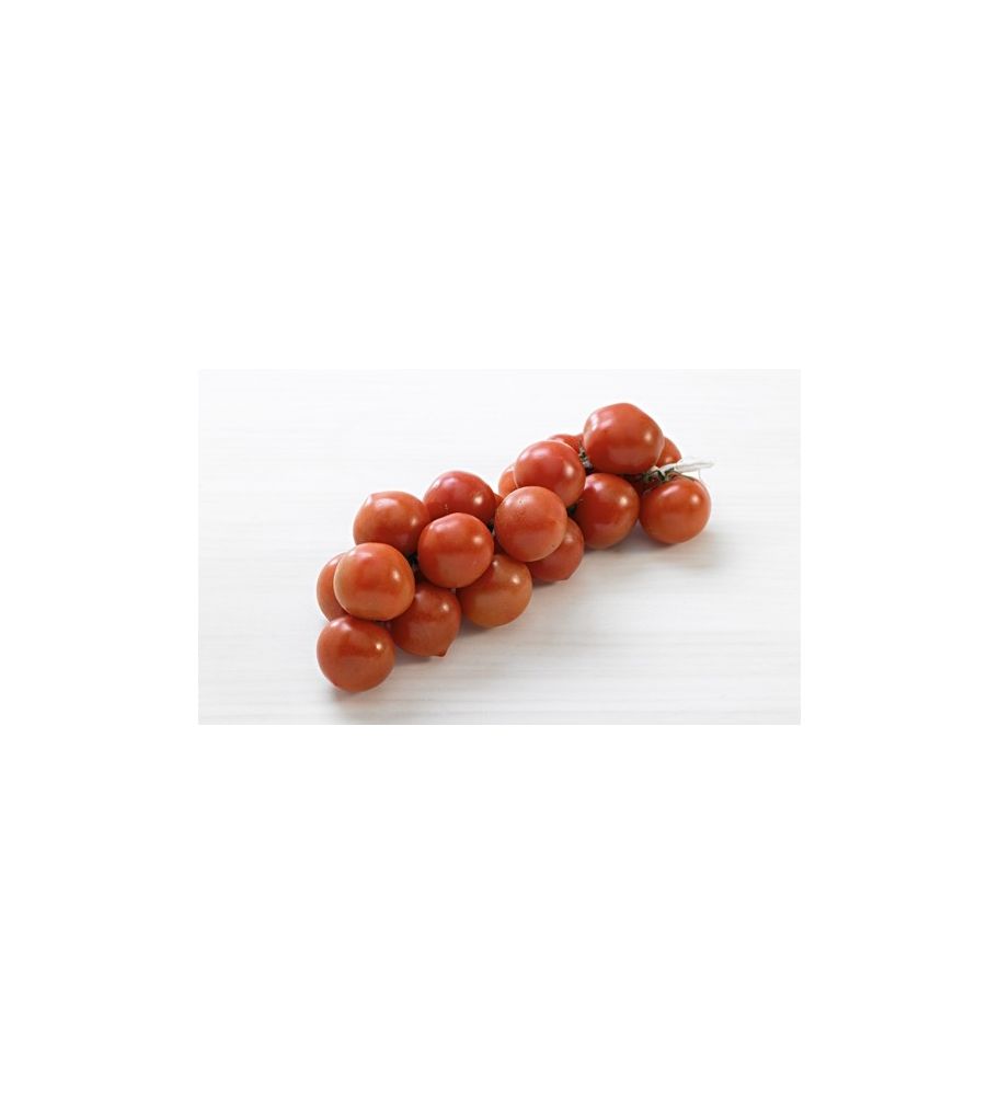 Plantón Tomate De Colgar O Mallorquín (10 Unidades)_0